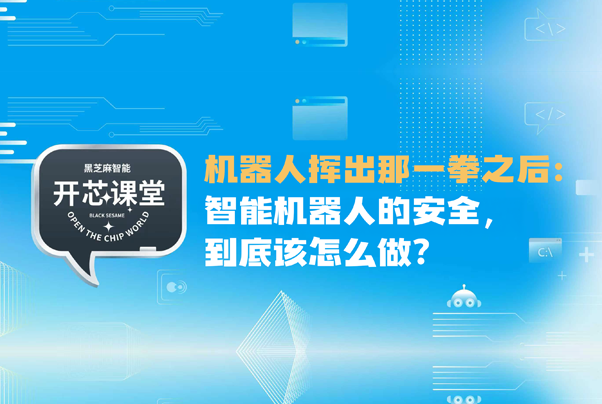 開芯課堂|機器人揮出那一拳之后:智能機器人的安全,到底該怎么做?